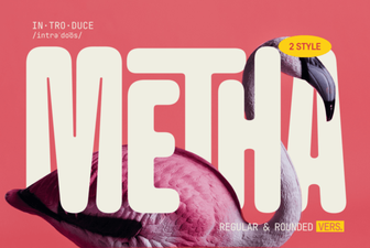 The Metha Font: Modern Design for Creative Projects